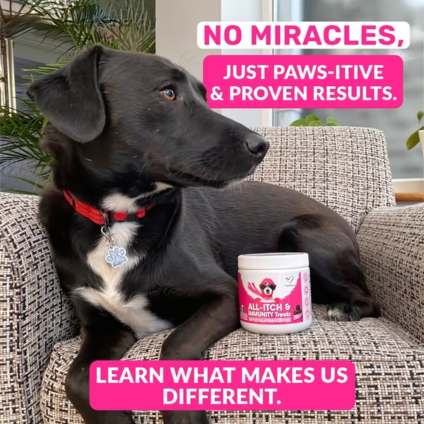 A high-contrast, clean 1:1 image featuring a dog sitting next to a container of immunity treats with a bold, skeptical-defying headline.